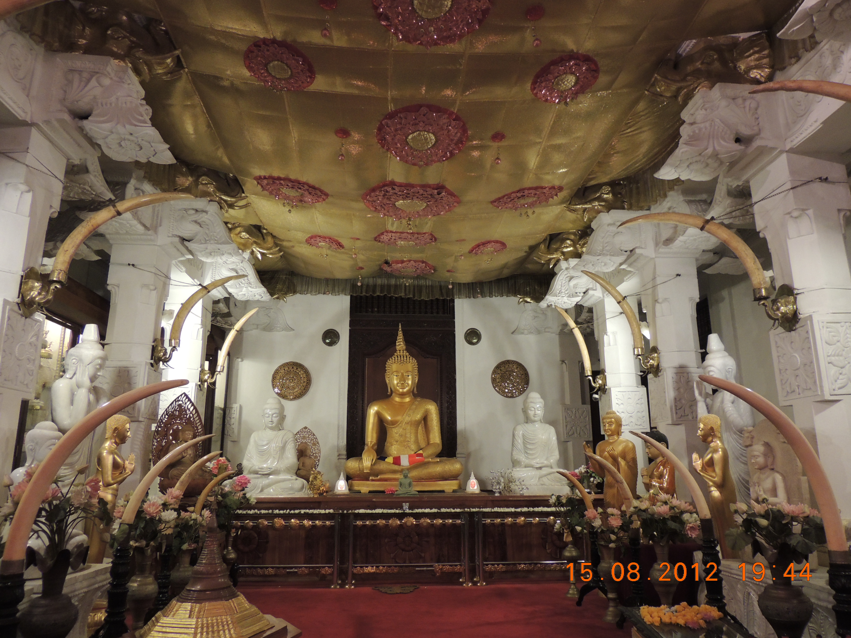 DSCN1404